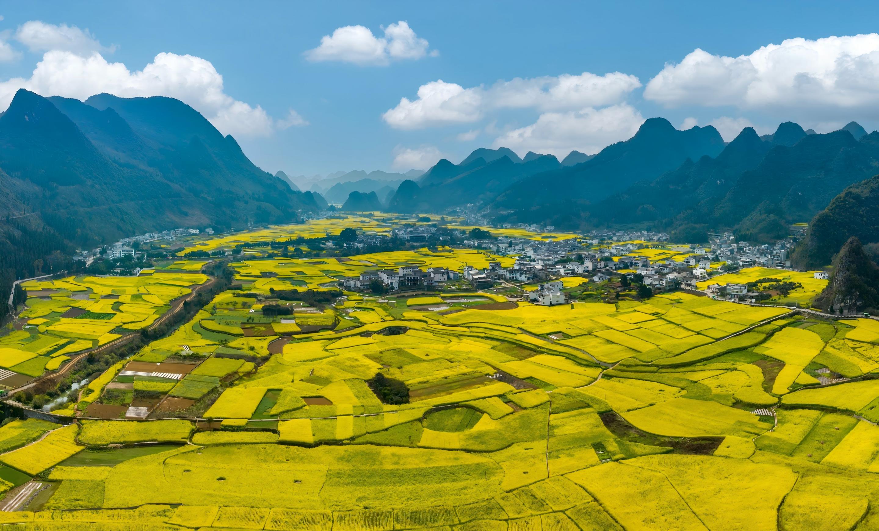 banner-万峰林油菜花-1701299664812638210(1).jpg