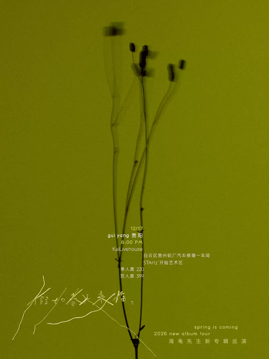 海归先生.webp